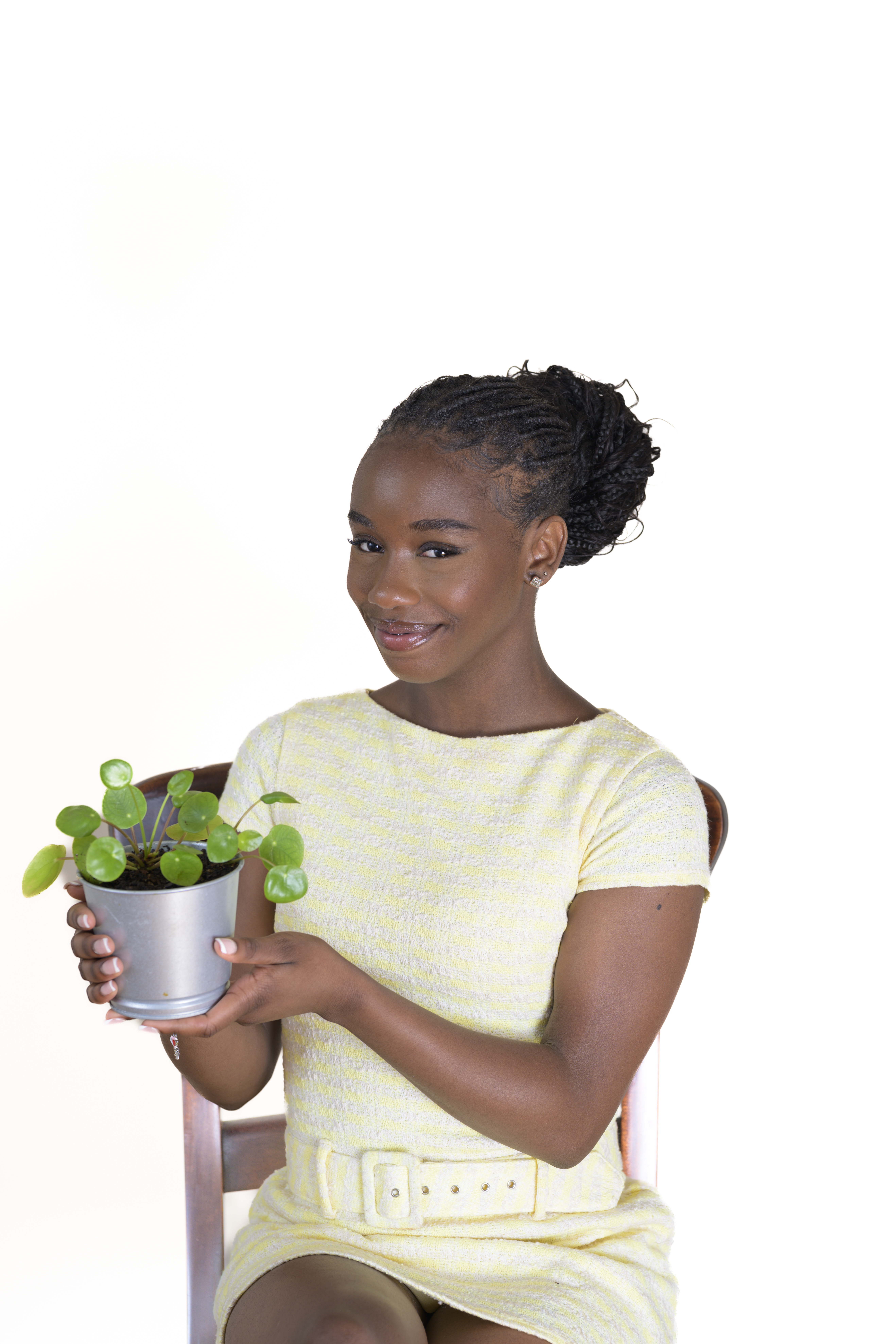 Salincya with plant